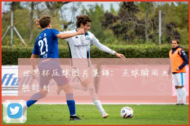 世界杯压球图片集锦:点球瞬间决胜时刻
