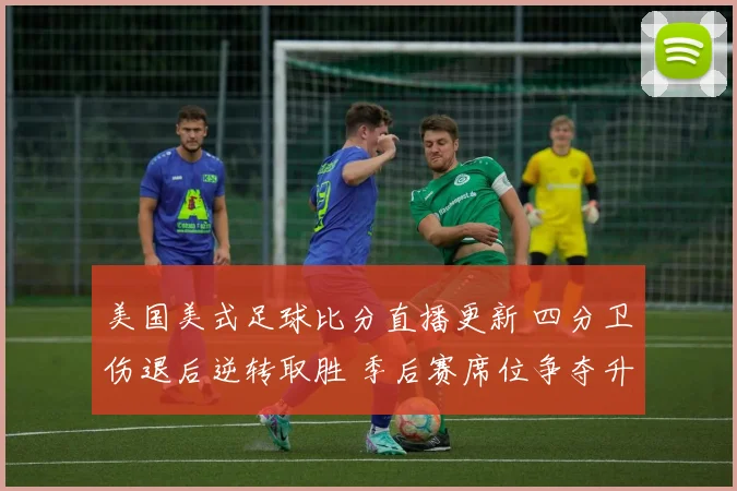 美国美式足球比分直播更新 四分卫伤退后逆转取胜 季后赛席位争夺升温