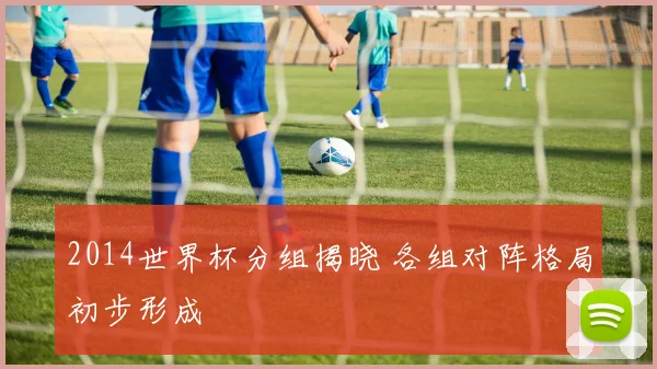 2014世界杯分组揭晓 各组对阵格局初步形成